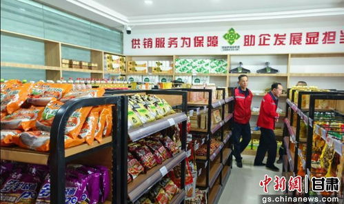 看！这里是肃北戈壁供销社 如何成为牧民的“安心站”与日用百货的“生命线”？